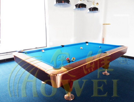 奥维牌室内外乒乓球桌、台球桌、健身路径、组合滑梯及儿童乐园堡